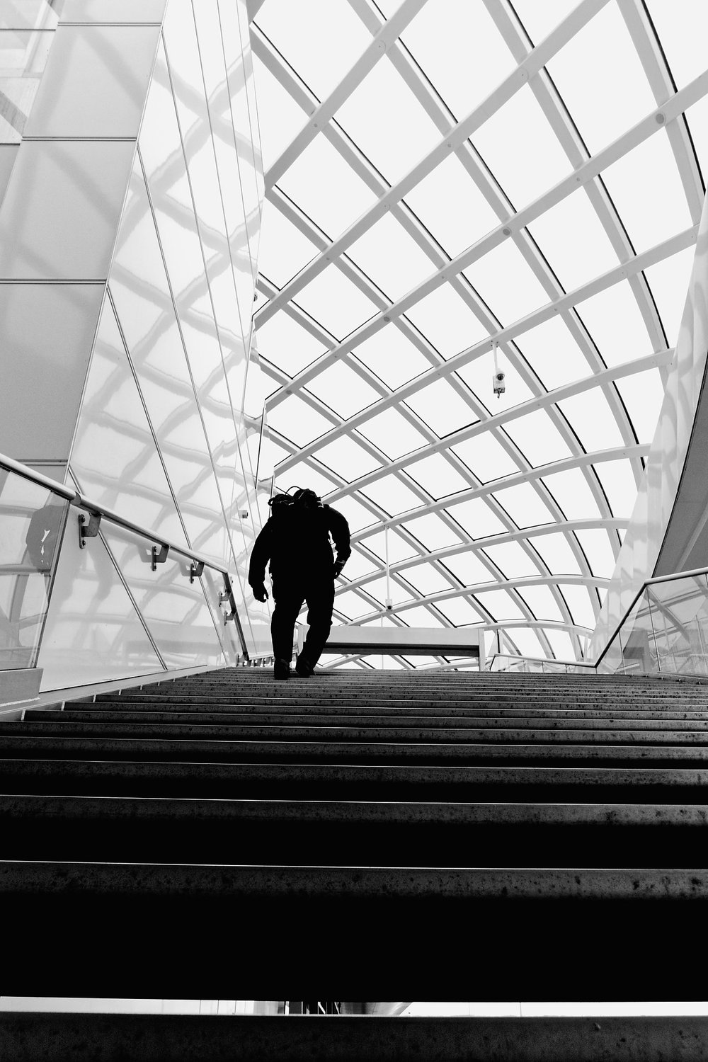 Glass canopy — Human Presence in Geometry